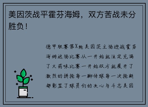 美因茨战平霍芬海姆，双方苦战未分胜负！