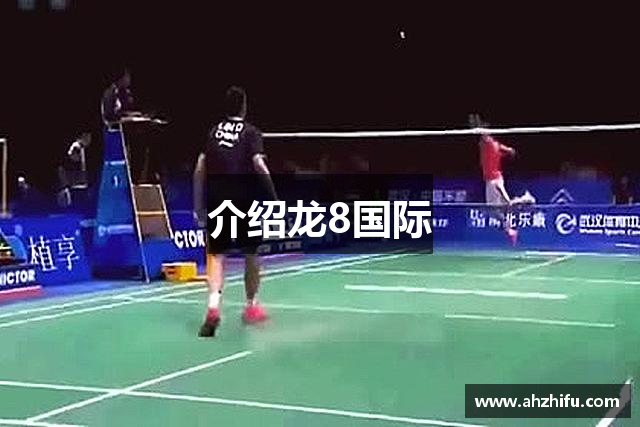 介绍龙8国际